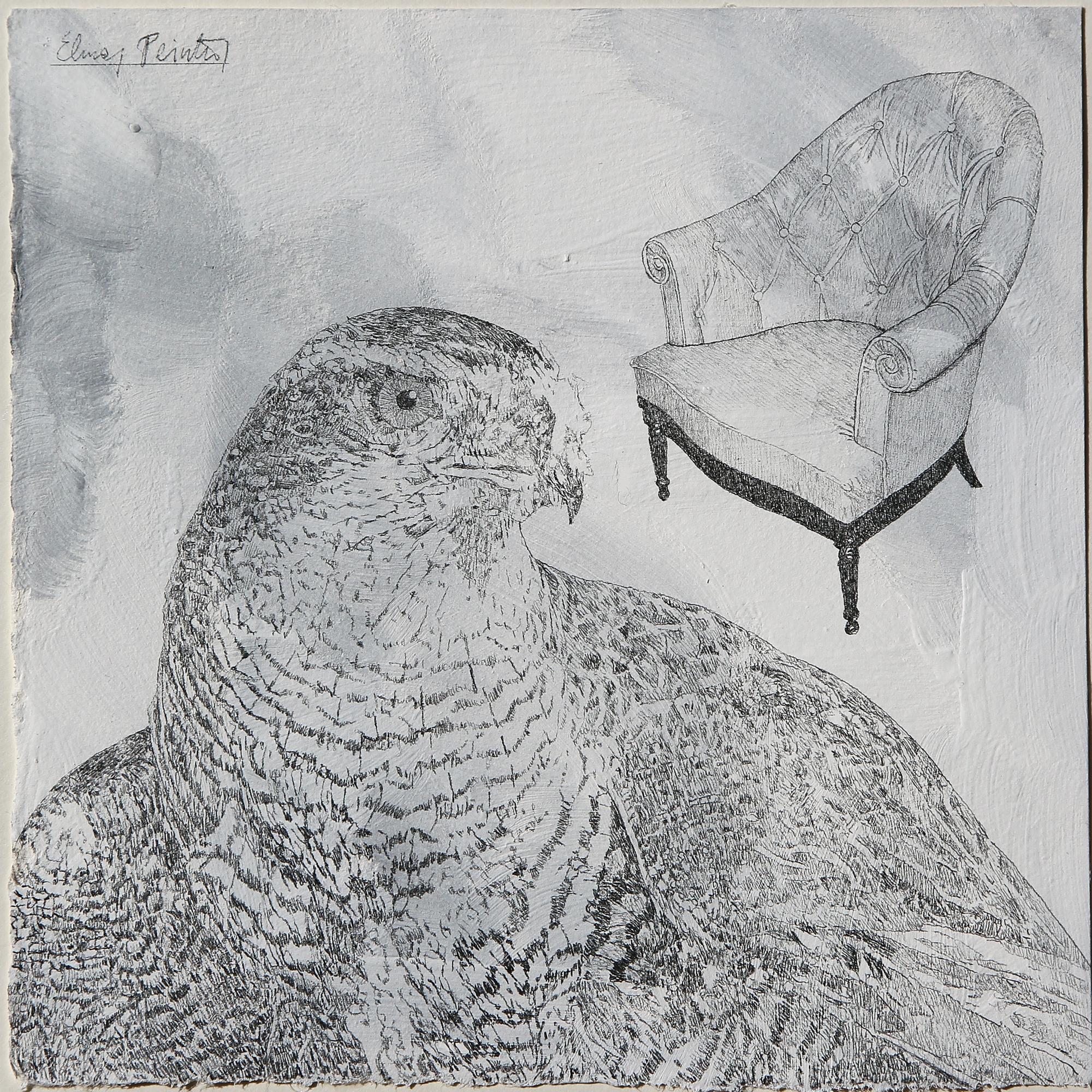 Elmar Peintner - Habicht